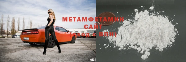 ГАЛЛЮЦИНОГЕННЫЕ ГРИБЫ Михайлов