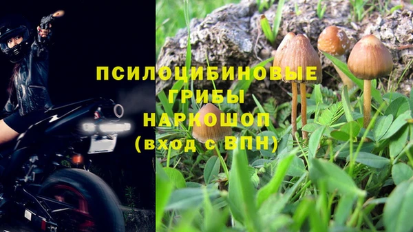 ГАЛЛЮЦИНОГЕННЫЕ ГРИБЫ Михайлов