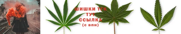 ГАЛЛЮЦИНОГЕННЫЕ ГРИБЫ Михайлов