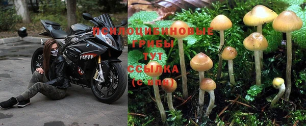 марки nbome Михайловск