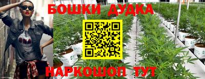 стаф Балашиха