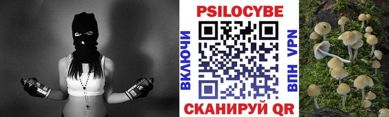 где найти   Новозыбков  Галлюциногенные грибы GOLDEN TEACHER 