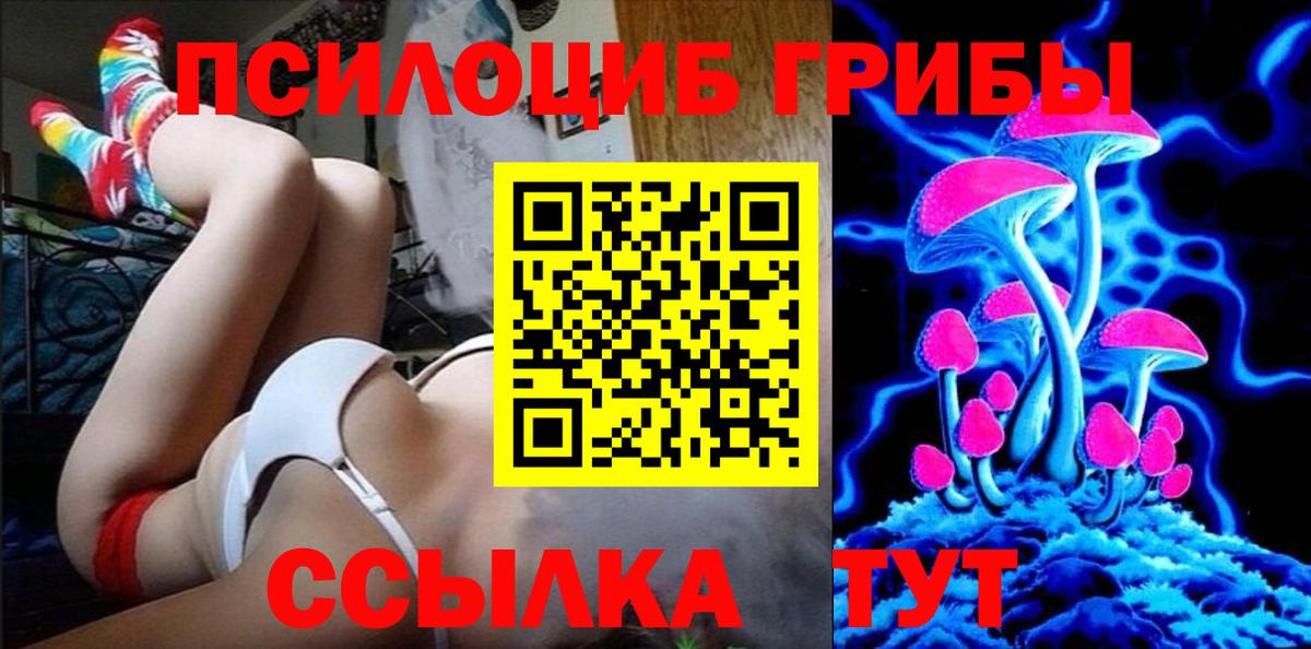 Галлюциногенные грибы Psilocybine cubensis Новозыбков