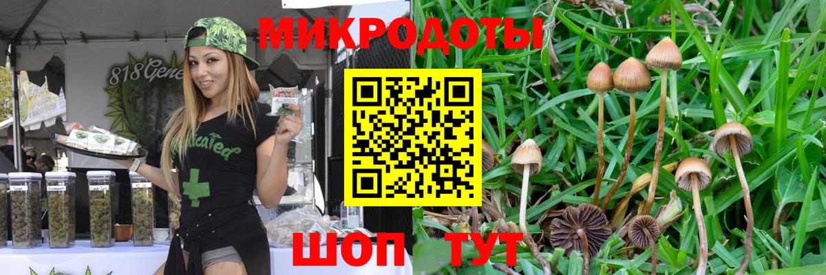 купить закладку  Новозыбков  Псилоцибиновые грибы Magic Shrooms 