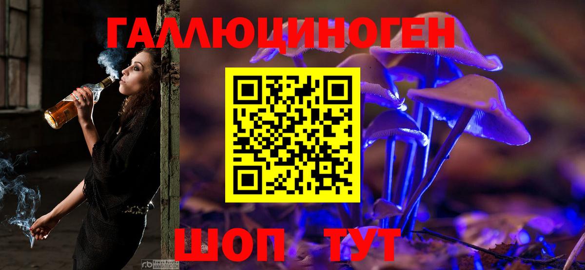 Псилоцибиновые грибы прущие грибы Новозыбков