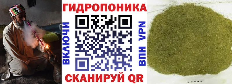 Шишки марихуана VHQ  цены наркотик  Новозыбков 