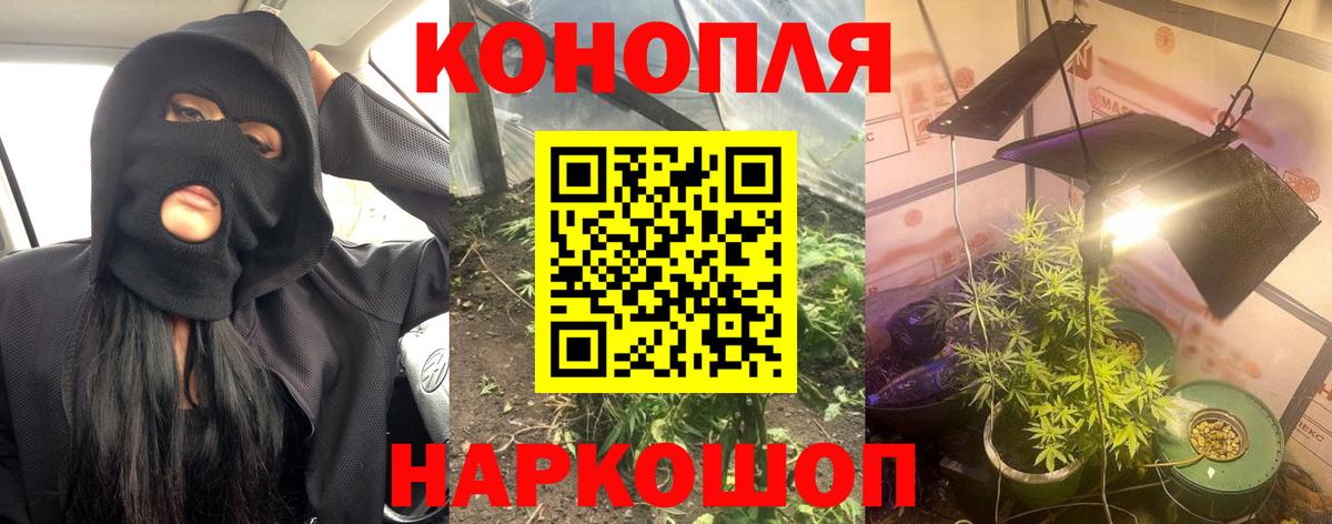 Бошки марихуана планчик Новозыбков